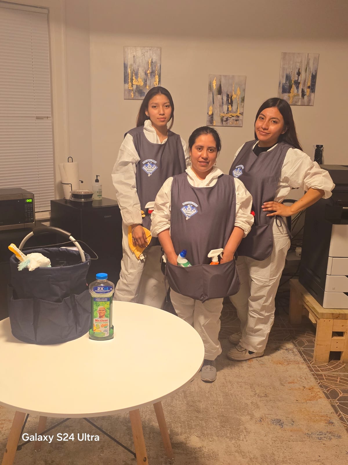 Diamond Home Chicago cleaning crew